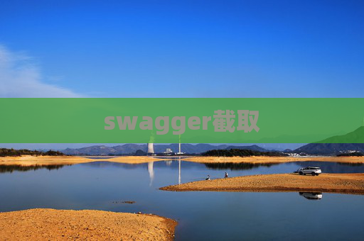 swagger截取